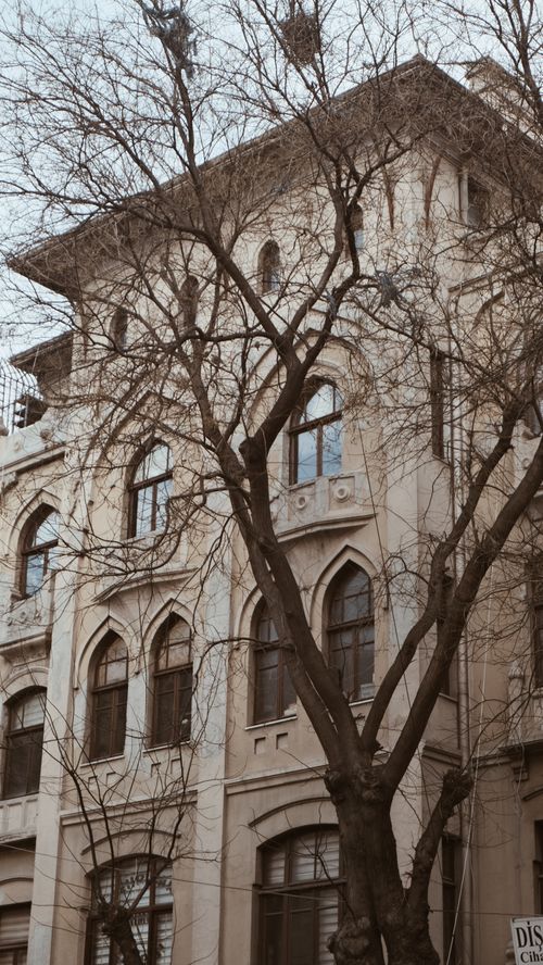 Free Elegantly designed historic building facade with a bare tree, showcasing rich architectural details. Stock Photo