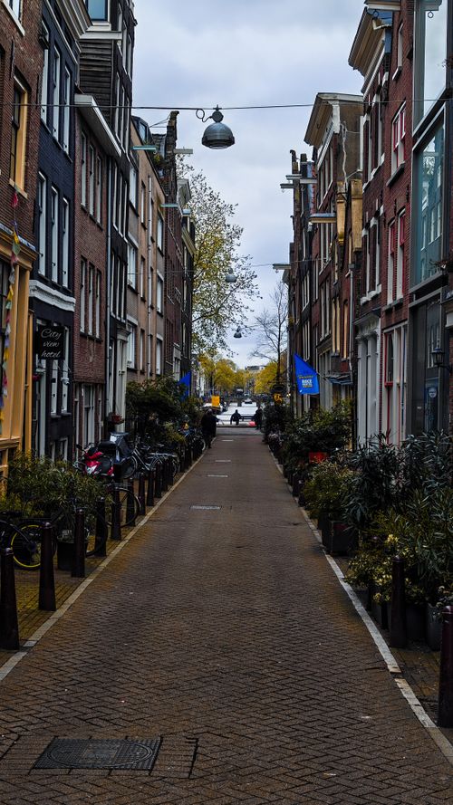 Free Narrow cobblestone street in Amsterdam with classic canal houses and autumn trees. Stock Photo