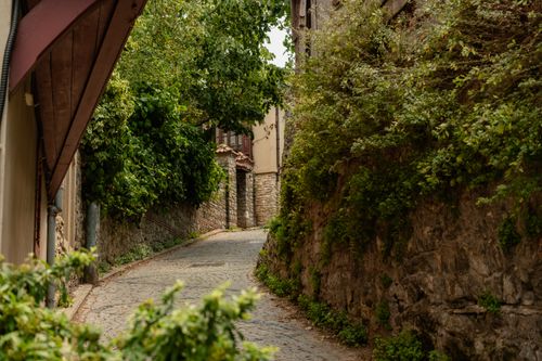 Free Explore a quaint, tree-lined cobblestone path in Istanbul's historic Beykoz district, perfect for a summer stroll. Stock Photo
