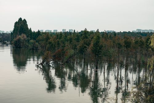 Free Scenic view of a wetland with distant city skyline, blending nature and urban life. Stock Photo