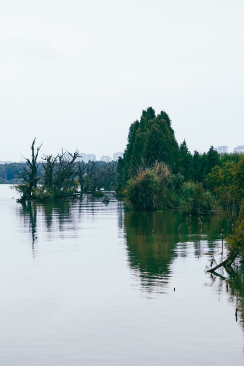 Free Serene view of a calm lake with reflections of lush trees and distant buildings. Stock Photo