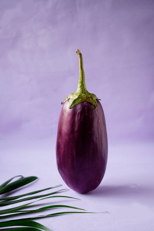 Free Purple Eggplant Stock Photo