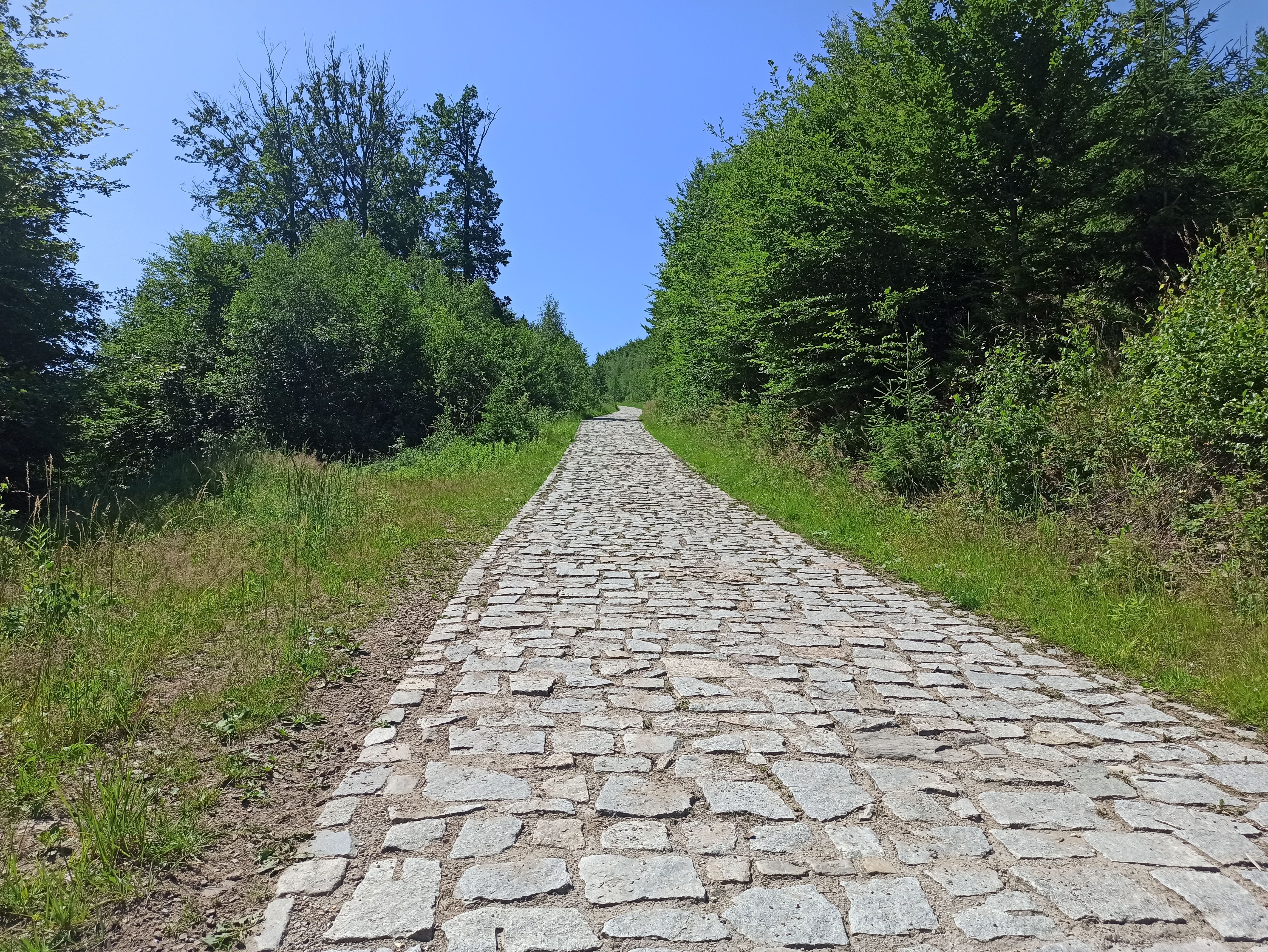 Natursteinweg durch den Garten