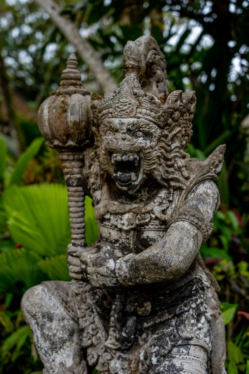 Free Ancient Balinese stone guardian statue surrounded by tropical plants in an outdoor setting. Stock Photo