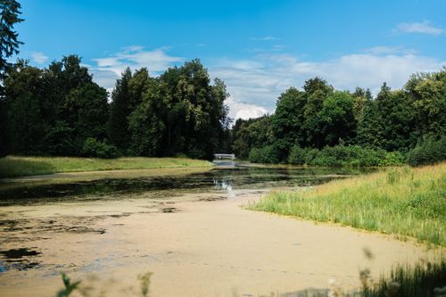 Free Tranquil river scene in a verdant forest with clear summer skies, capturing nature's peaceful beauty. Stock Photo