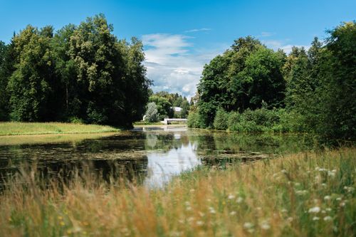 Free Peaceful summer scene featuring a lush forest reflecting on a tranquil lake. Stock Photo