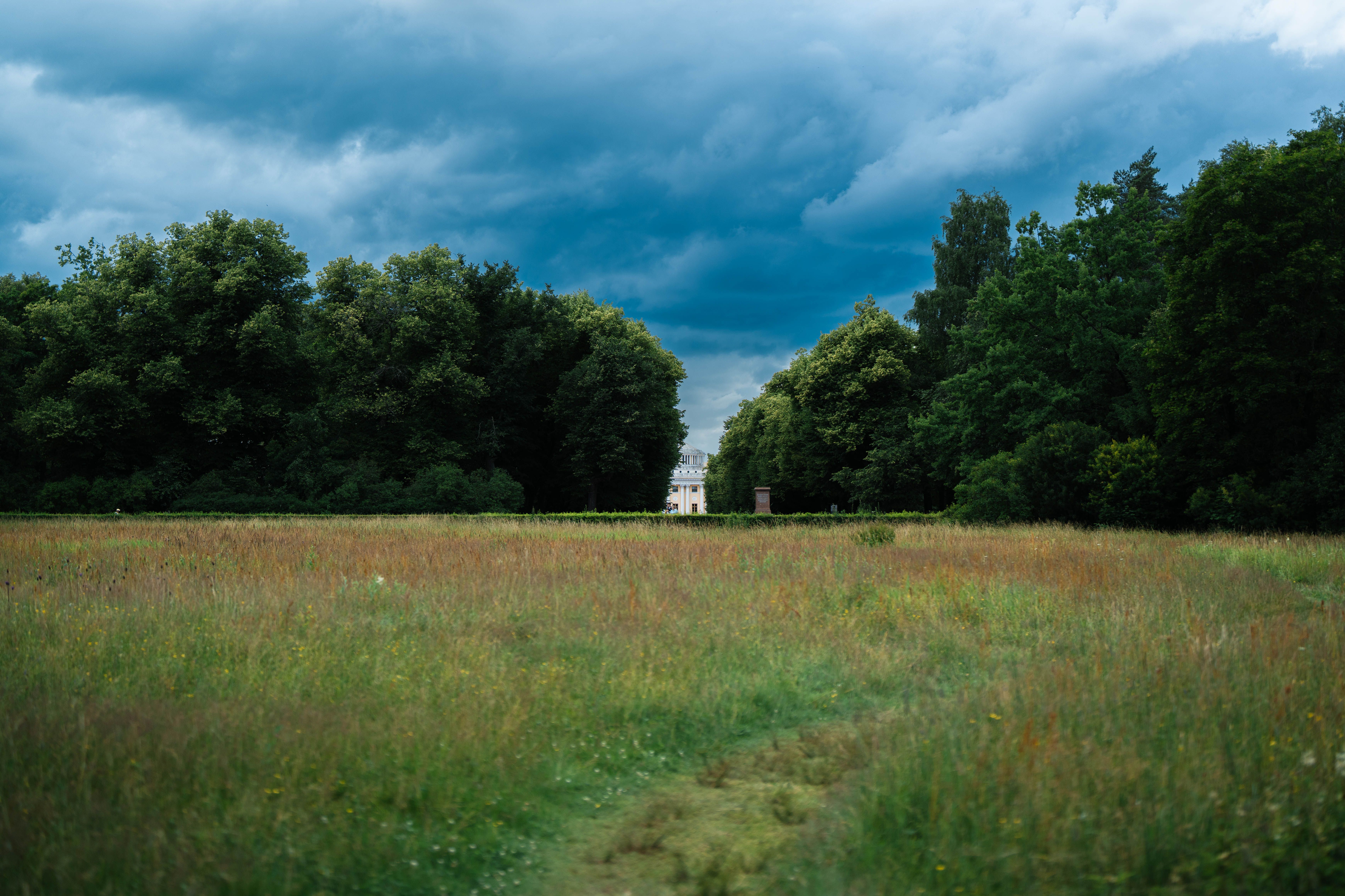 George Harrison’s Henley estate has inspired the coolest new gardening collection — Photo by Ivan Pozdnyakov on Pexels