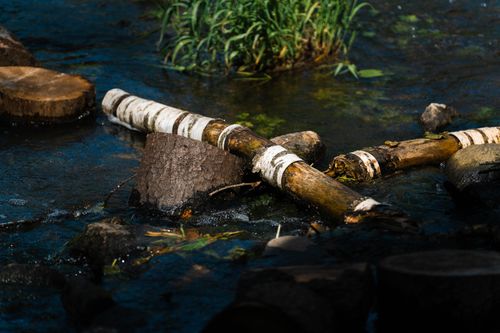 Free Tranquil forest stream featuring fallen birch logs and lush greenery in natural sunlight. Stock Photo