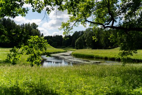 Free Peaceful summer scene with a lush green meadow, stream, and trees under a sunny sky. Stock Photo