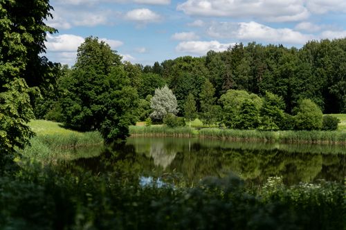 Free Serene forest landscape with a reflective lake surrounded by lush green trees on a sunny day. Stock Photo
