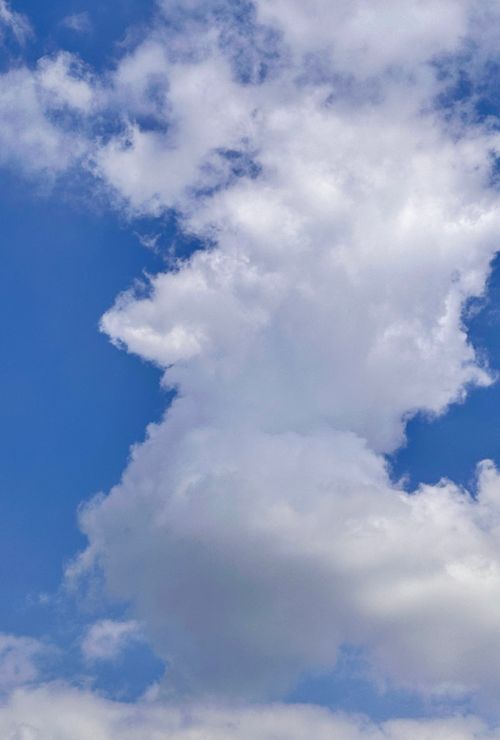 Free A vivid display of cumulus clouds against a bright blue sky on a beautiful summer day. Stock Photo