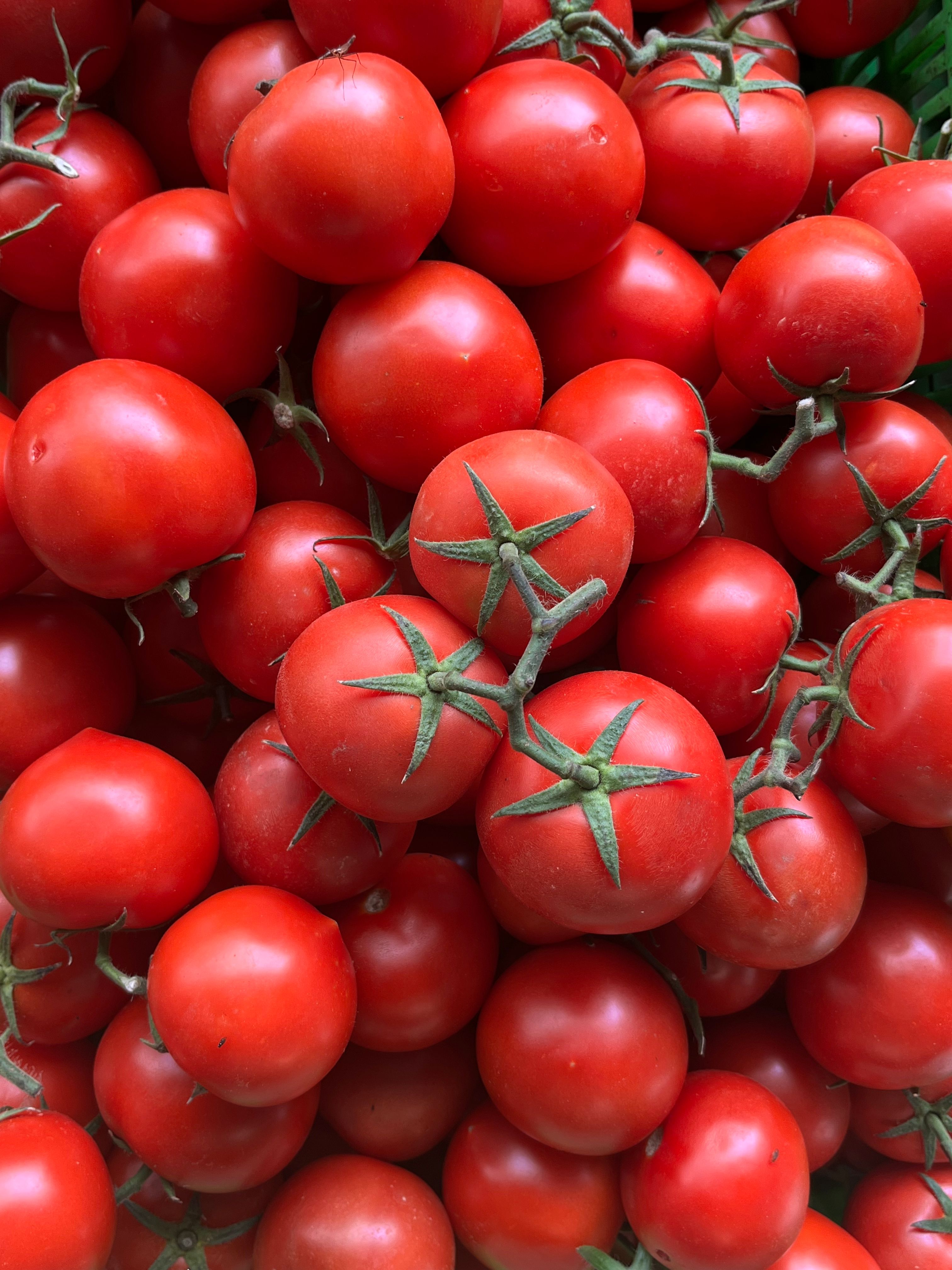 Molho de Tomate (340g)