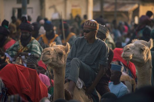 Men riding camels at an African festival, showcasing rich cultural attire and vibrant surroundings.