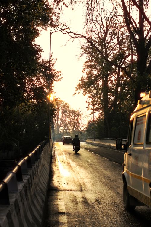 Free A peaceful drive at sunset on a tree-lined road in autumn. Stock Photo