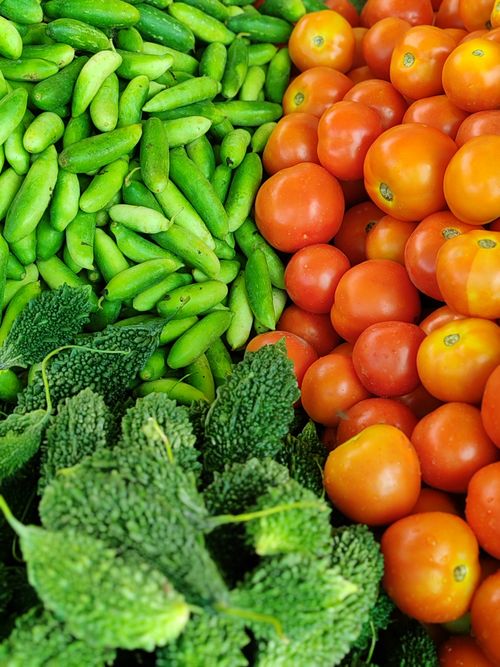 Free A vibrant display of fresh bitter gourd, tomatoes, and tindora in Lucknow, India. Stock Photo