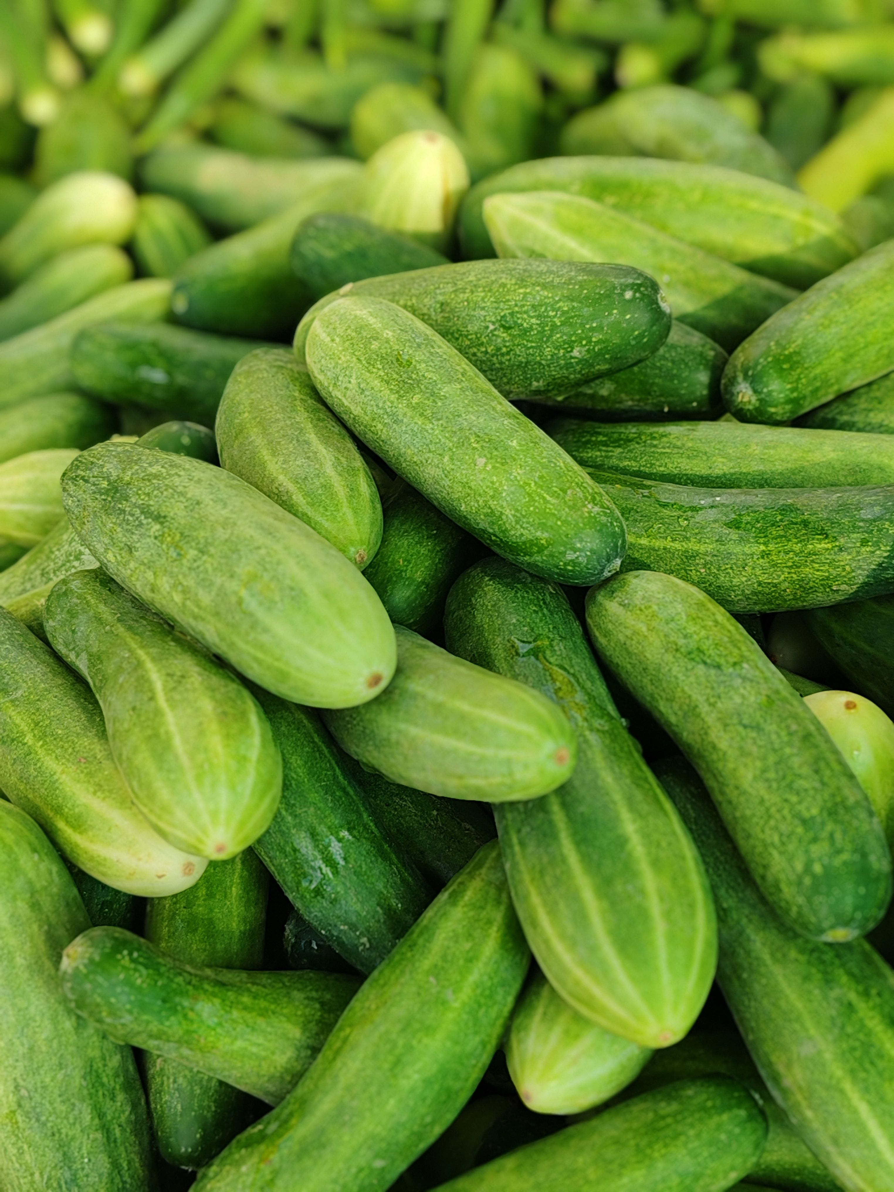 Macarrão Espaguete (500g)