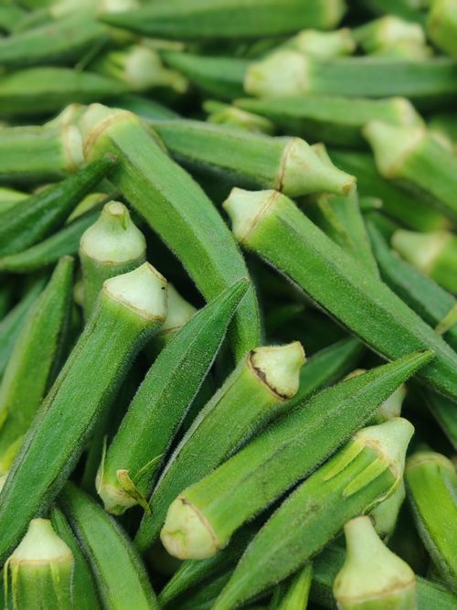 Free Close-up of fresh green okra pods, highlighting their natural textures and vibrant color. Stock Photo