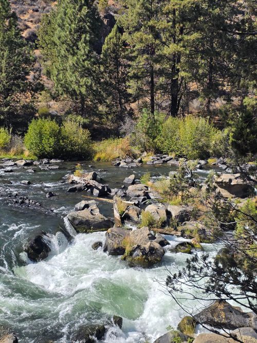 Free Serene river flowing through rocky terrain and lush pine trees in Bend, Oregon, USA. Stock Photo