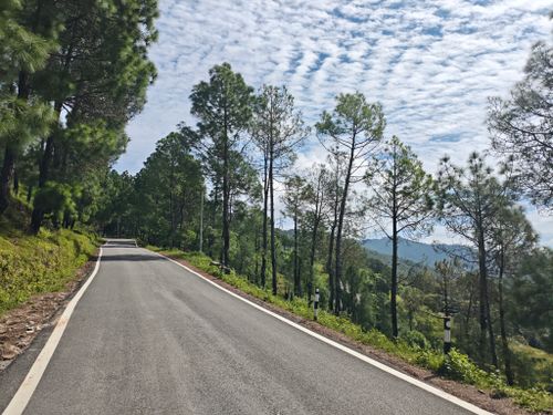 Free A peaceful mountain road lined with lush pine trees under a vibrant sky. Stock Photo