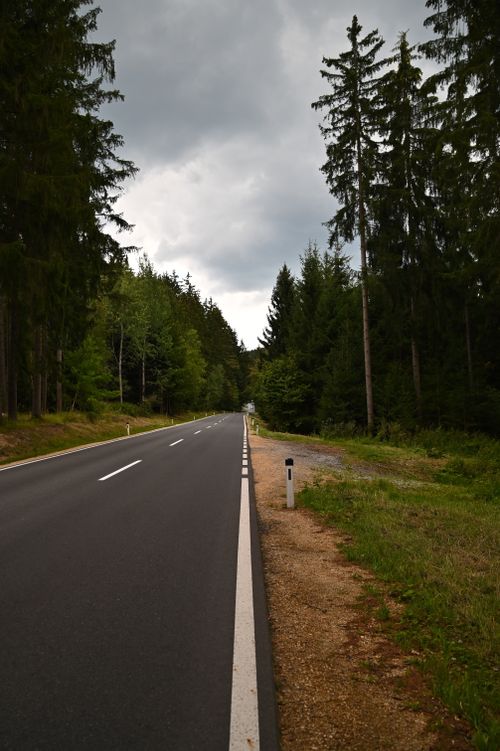 Free A scenic road winding through a dense forest on a cloudy day, offering tranquility. Stock Photo