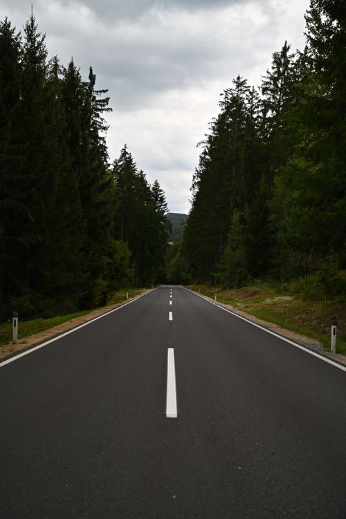 Free Long road cutting through a lush forest under an overcast sky, creating a serene nature scene. Stock Photo