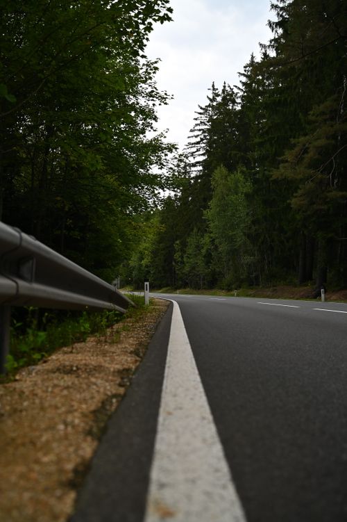 Free An empty road with a guardrail winds through a lush green forest, inviting adventure. Stock Photo