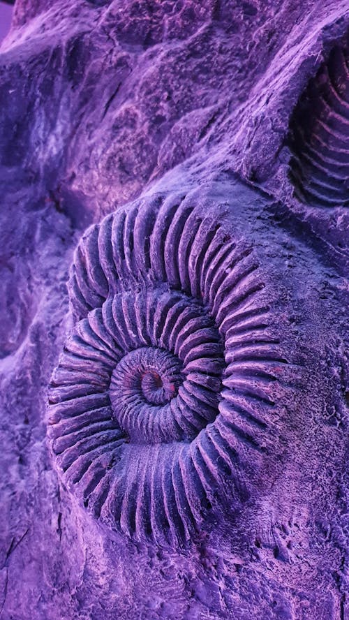 Free Purple Sand Stock Photo