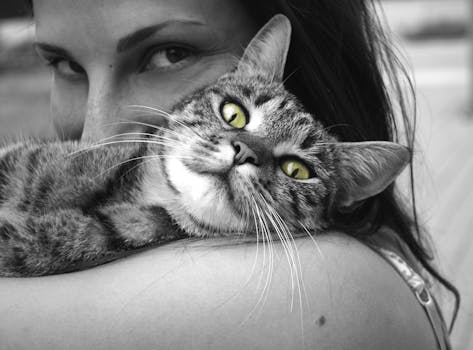 Black and White Cat
