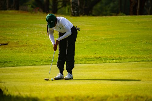 Free Captured moment of a golfer preparing a putt on a lush green course in Piggs Peak, Eswatini. Stock Photo