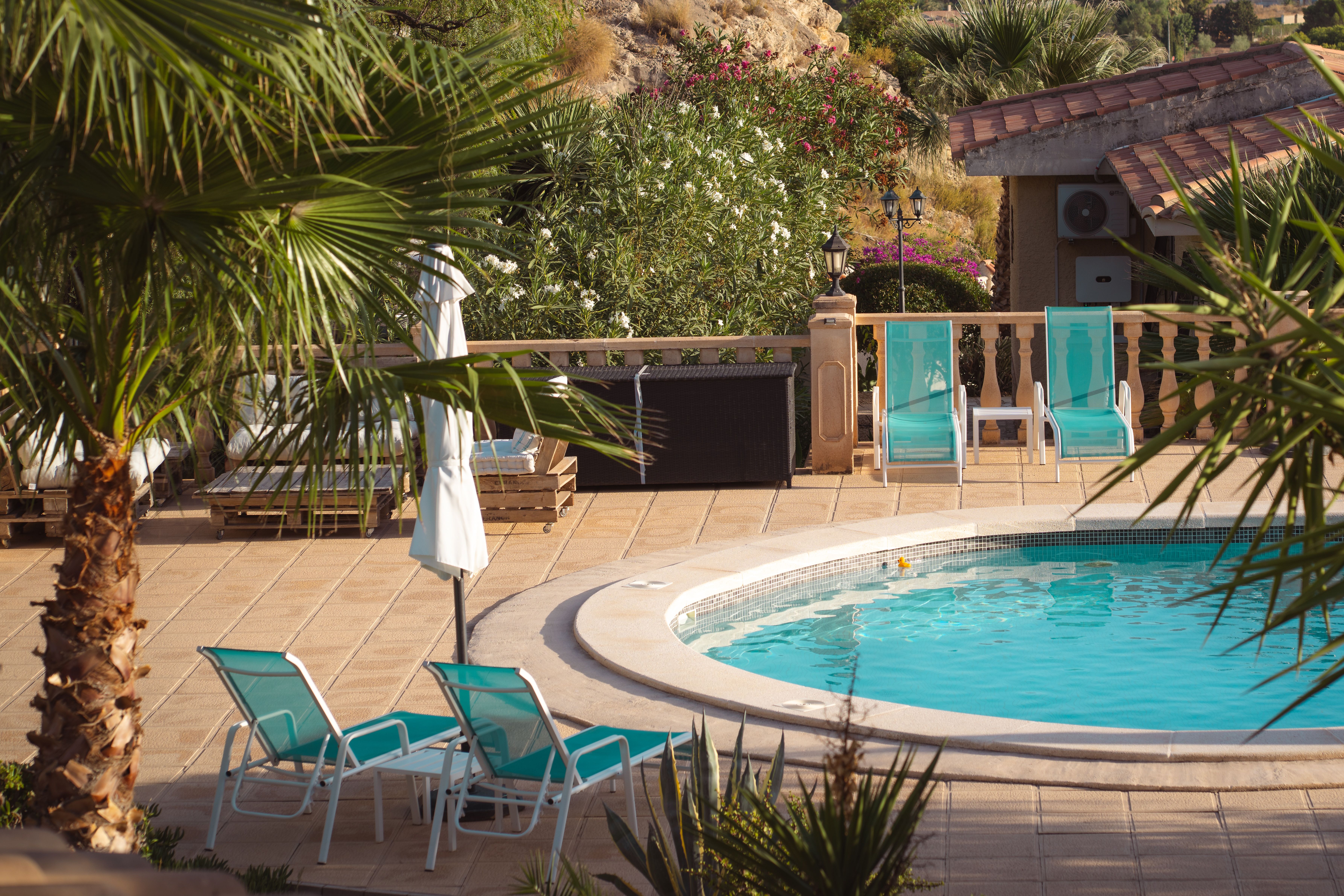 Charming pool area with sun loungers and tropical plants ideal for vacations and relaxation.
