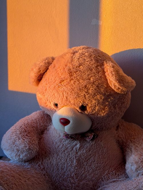 Free A fluffy teddy bear in soft, warm light from the sunset, casting gentle shadows on the wall. Stock Photo