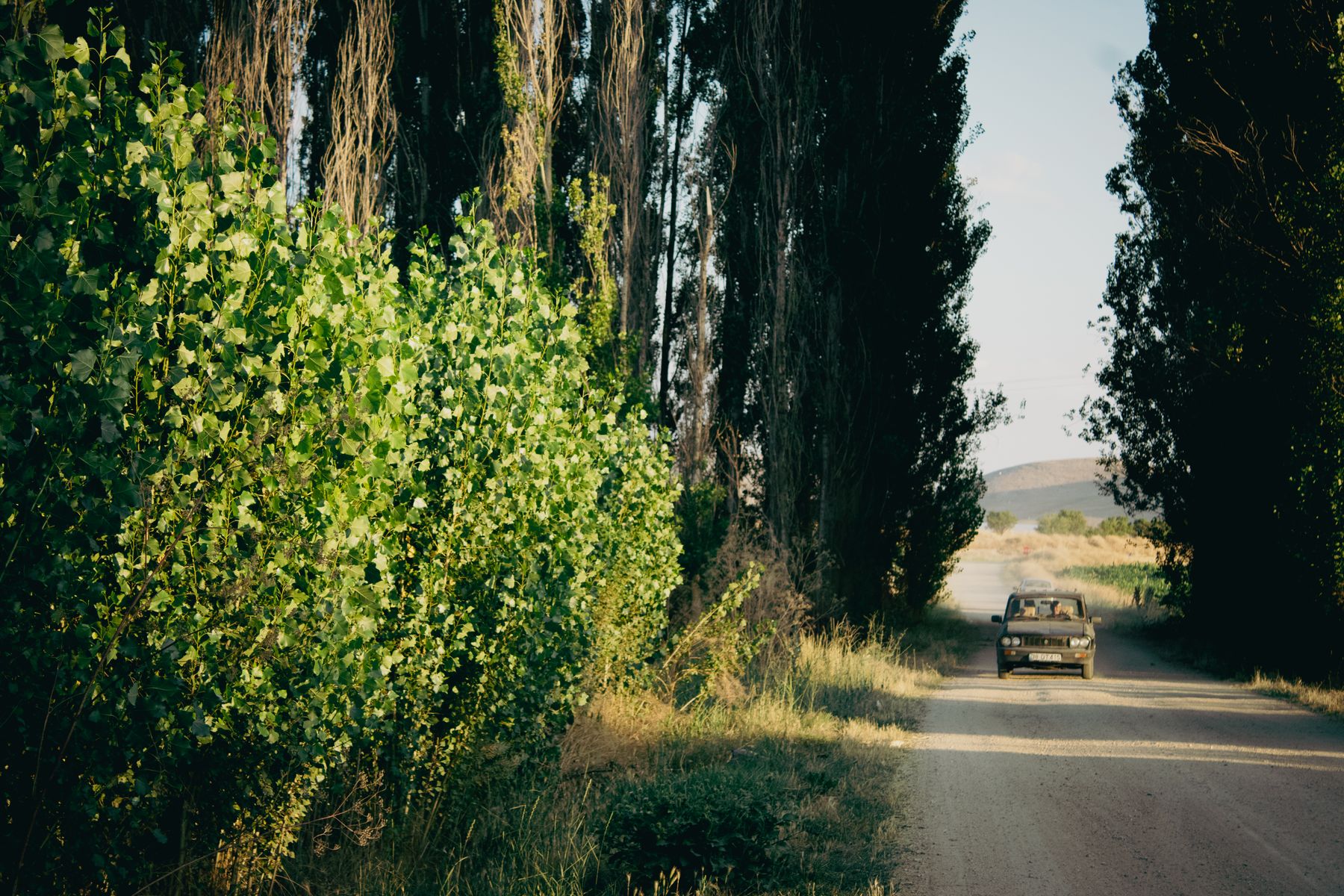 Getting Around Cyprus Without a Car: Routes, Times and Fares
