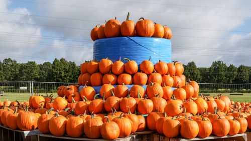 Free A large stack of vibrant pumpkins arranged outdoors during harvest season in Hamburg, Germany. Stock Photo