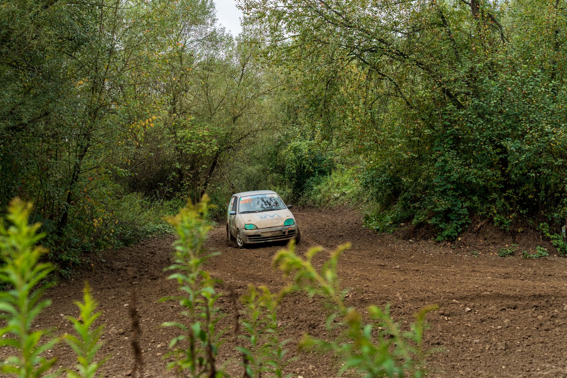 Saaremaa Rallisi'ne katılan bir ralli otomobili