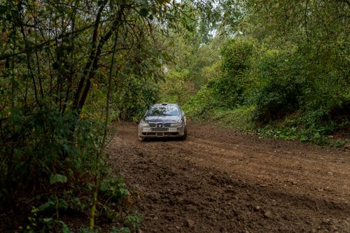 Free Rally car speeding through a forest path in Małopolska, Poland. Adventure and motorsport. Stock Photo