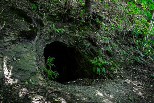 Free A hidden cave entrance in a lush forest setting in southern Poland. Stock Photo