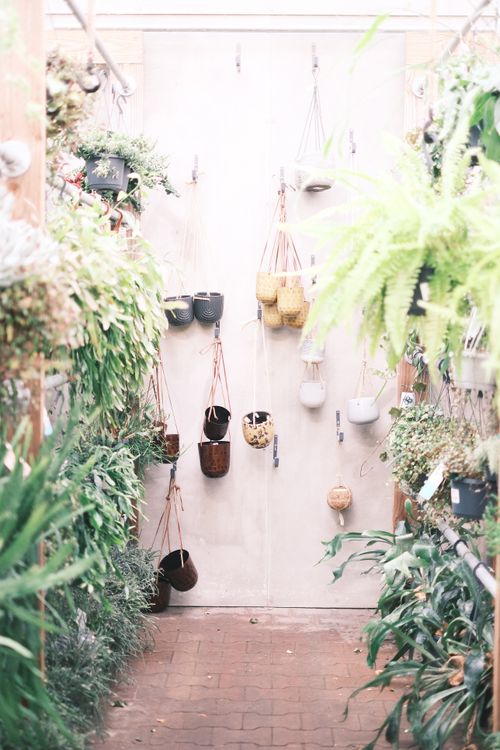 Free Bright indoor garden featuring a variety of lush hanging plants for a serene setting. Stock Photo
