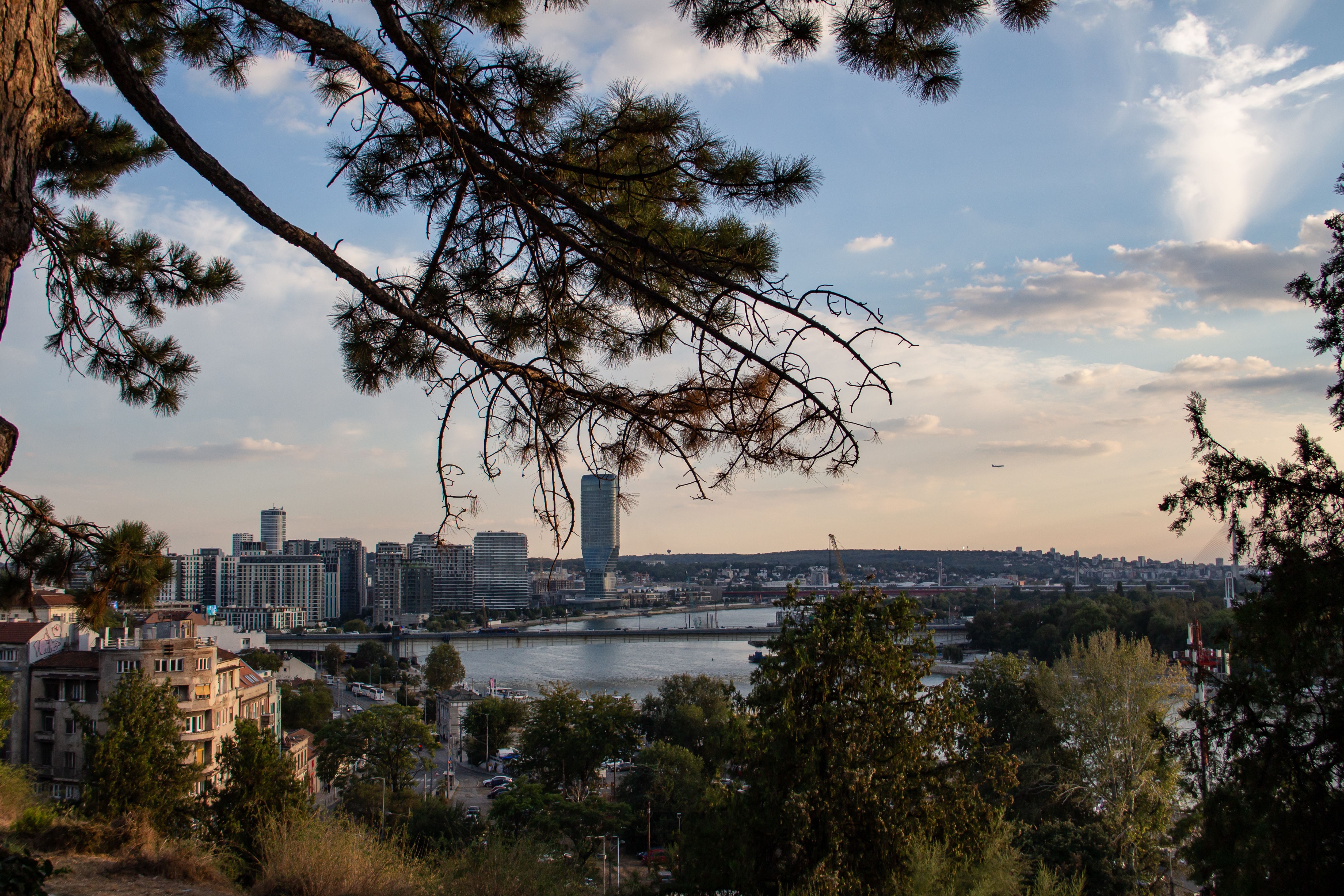 Beautiful view of the Belgrade skyline over the river under a late afternoon sky with branches framing the scene.