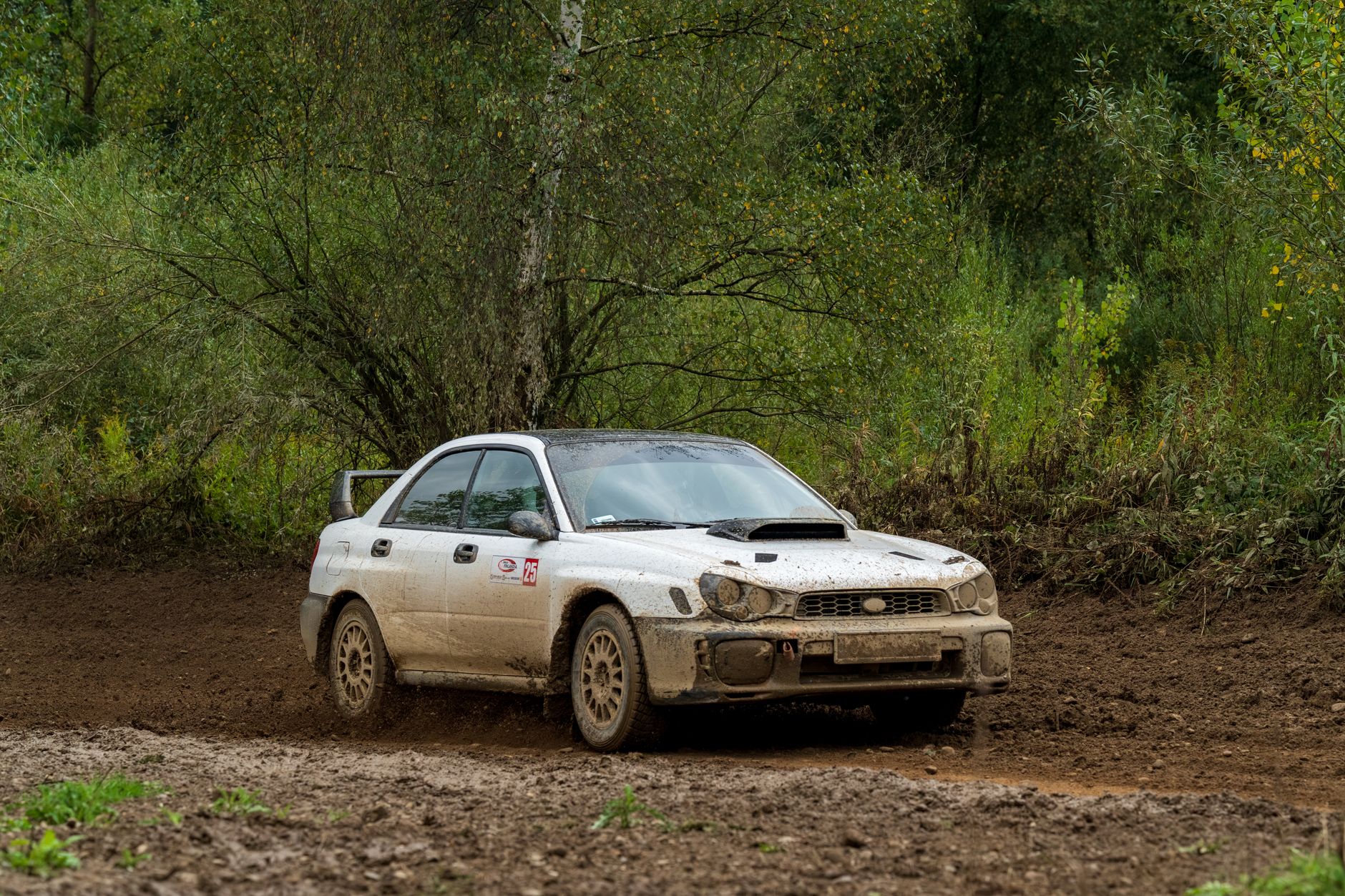Rally Estonia yarışında orman yolunda ilerleyen ralli otomobili