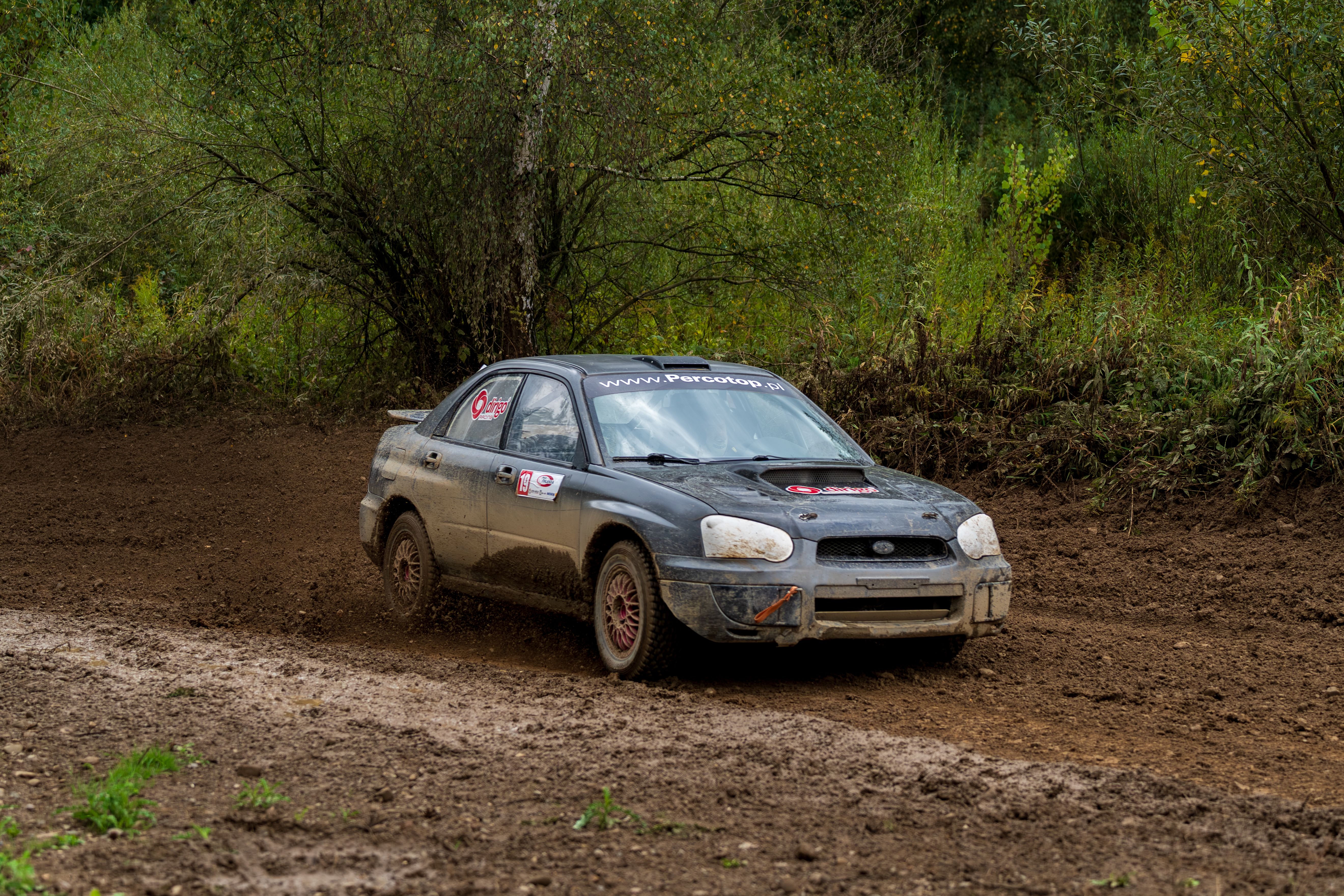 Rally car speeding along a muddy course lined with green vegetation