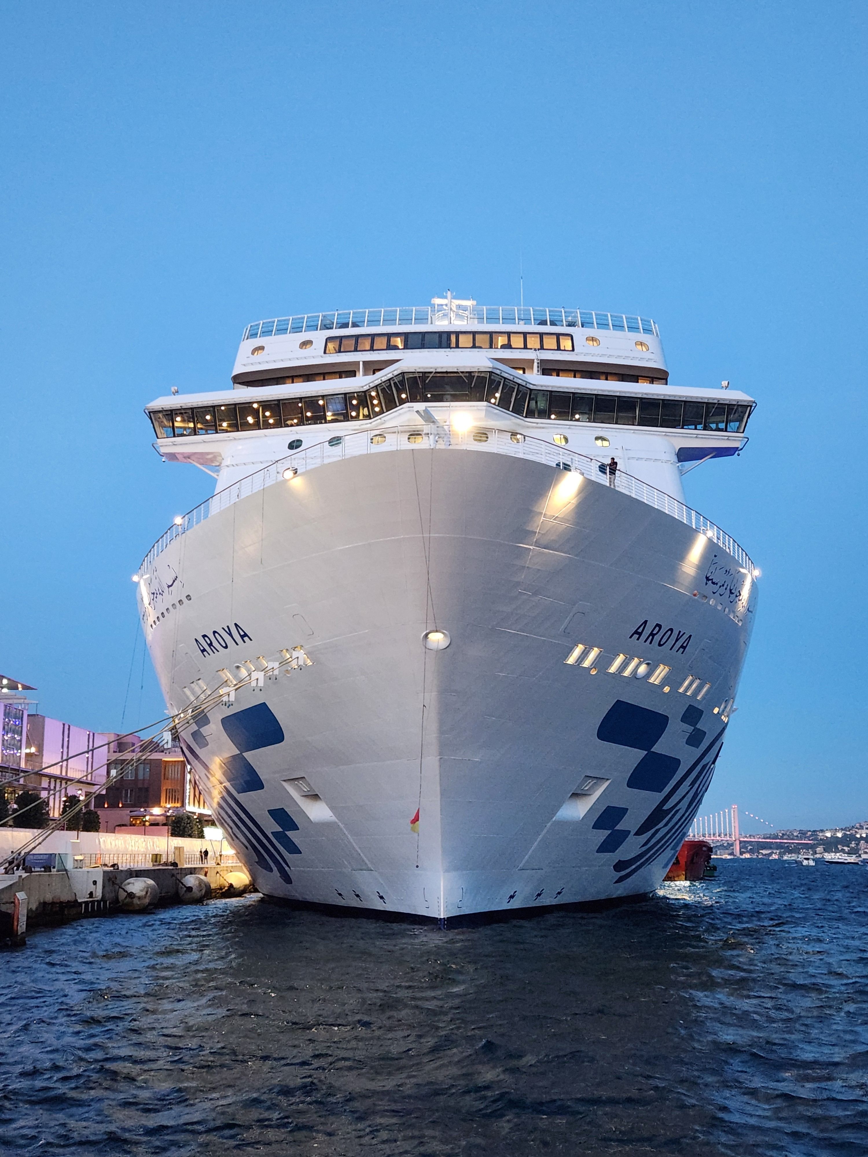 Large cruise ship docked at a port during dusk, showcasing its grandeur and reflecting the serene harbor setting.