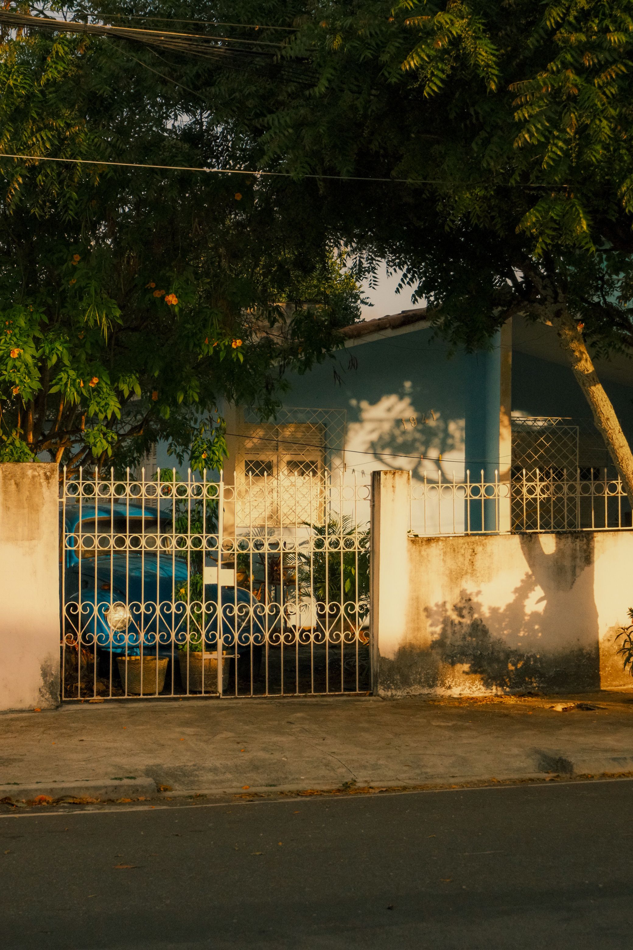 A charming house with iron gate and trees in warm sunlight.