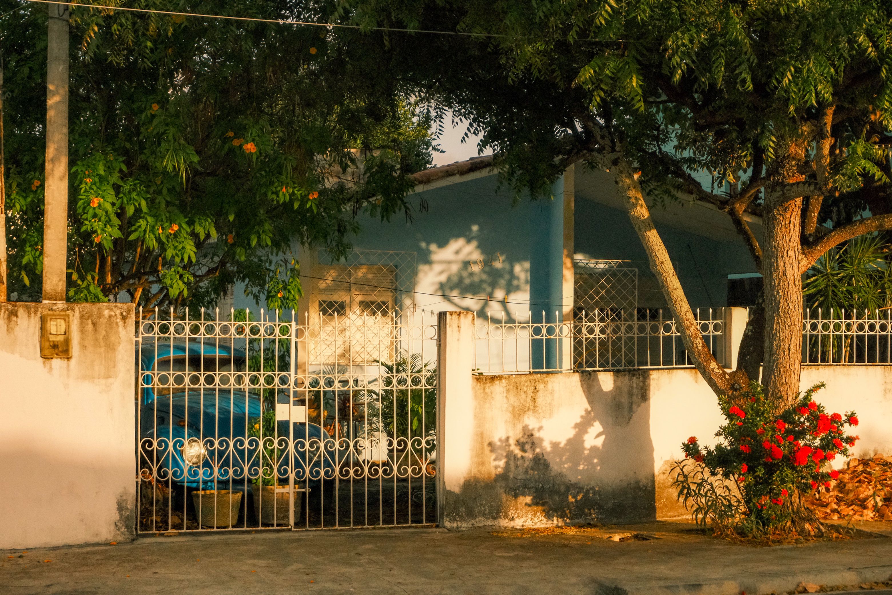 Bungalow Community Garden, Kidston Street