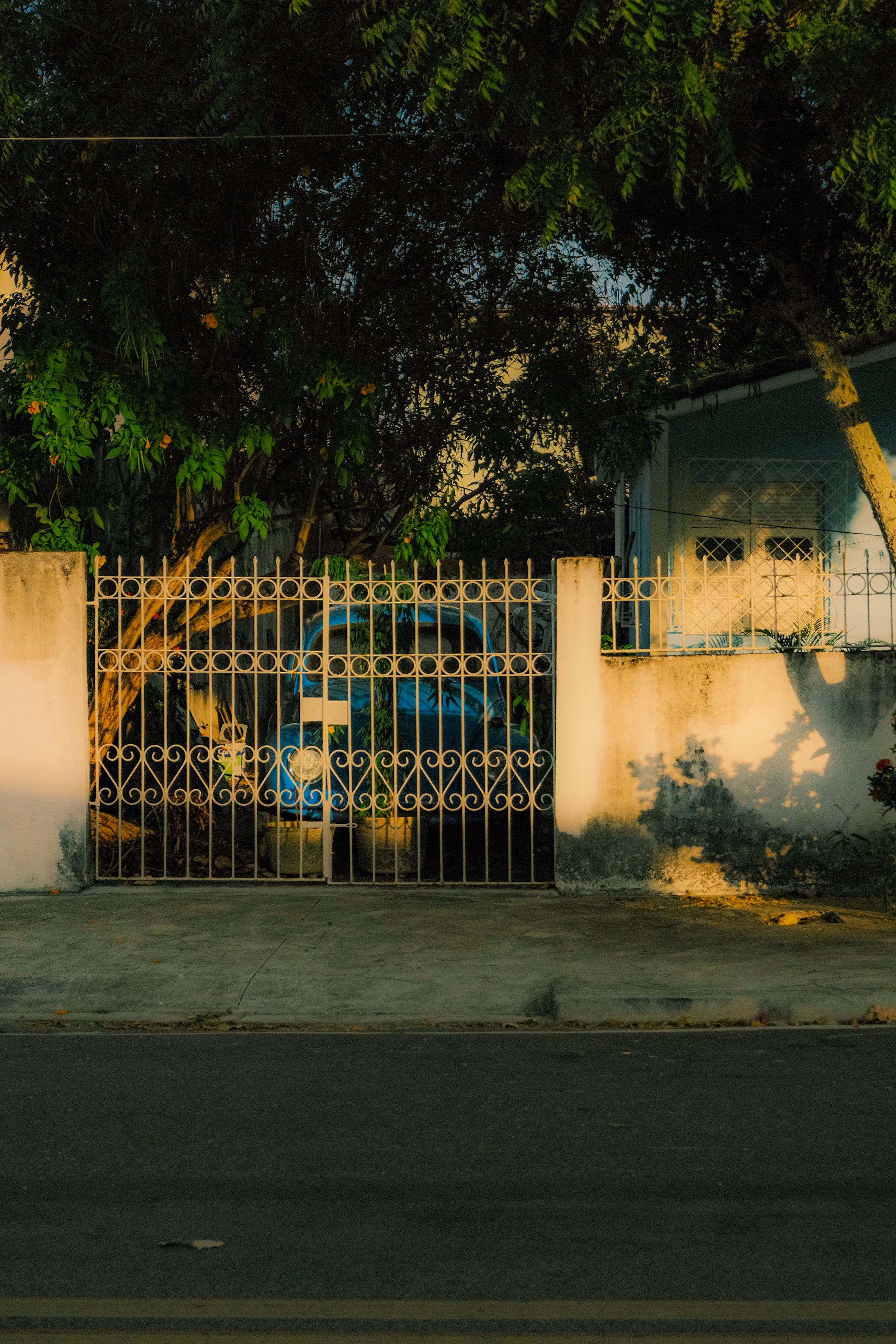A residential gated yard with shadows and greenery in warm sunlight.
