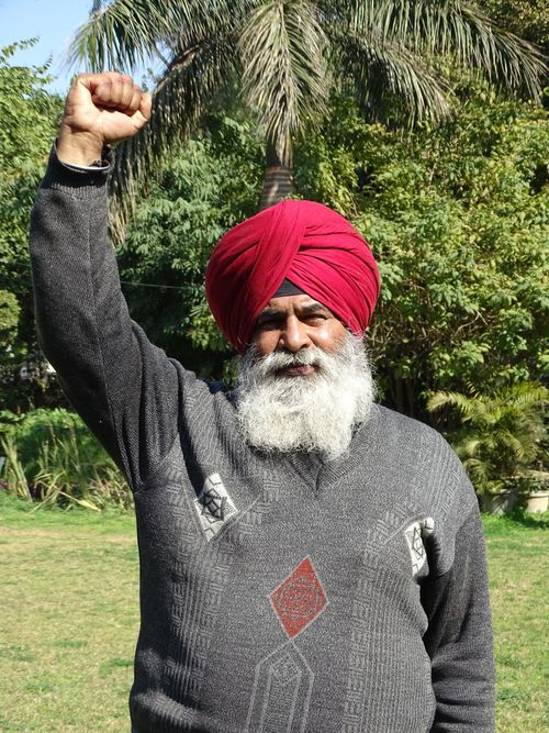 Free Elderly man in red turban raising fist in solidarity against lush green backdrop. Stock Photo