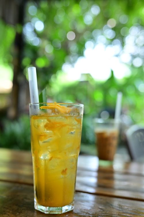 Free Chilled orange iced tea with lemon slice on a sunny day outdoors, perfect for summer refreshment. Stock Photo