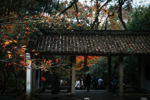 Free Serene autumn scene with colorful leaves and traditional architecture in Hangzhou, China. Stock Photo