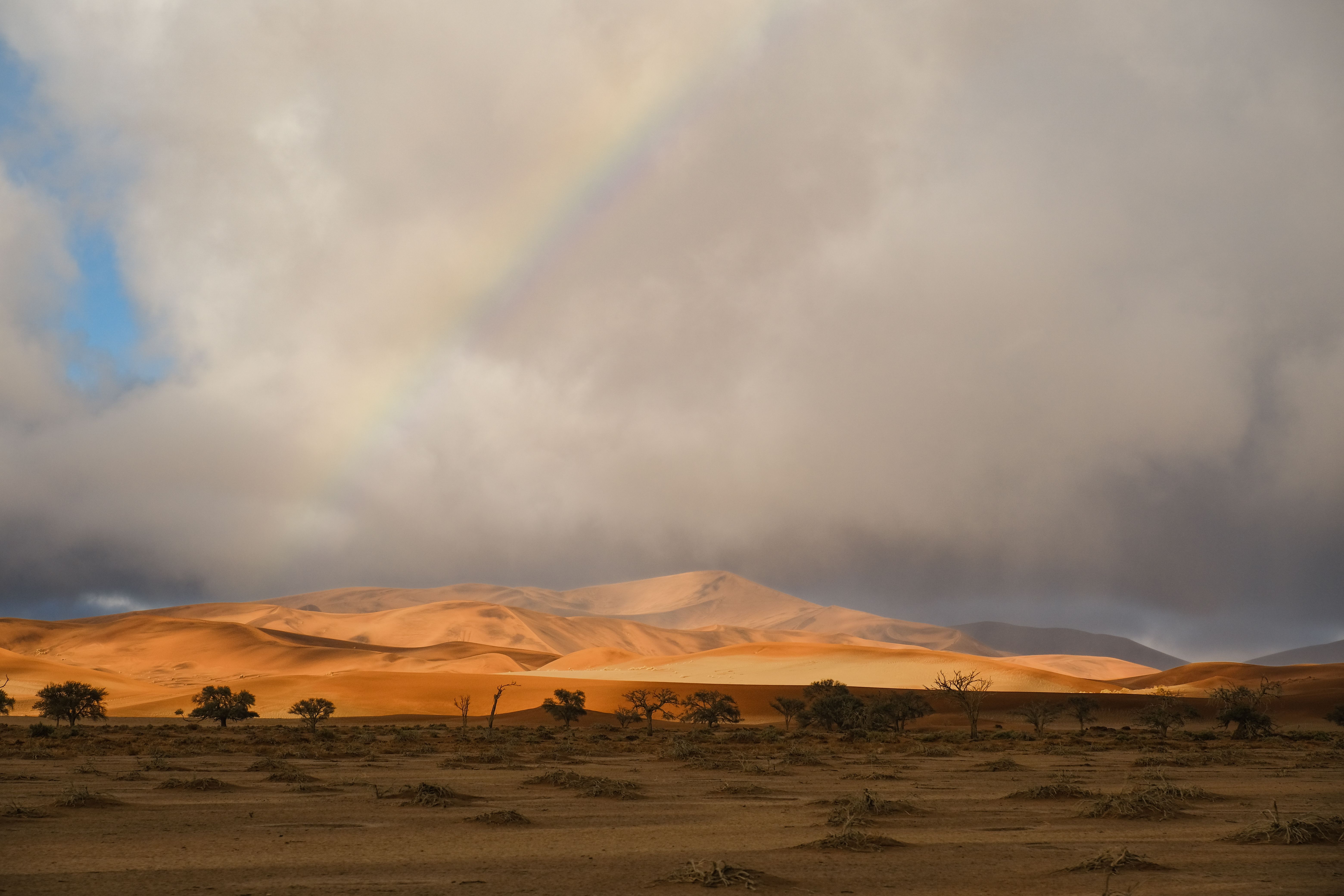 A breathtaking view of the Namib Desert with a rainbow arching over sand dunes and sparse vegetation.