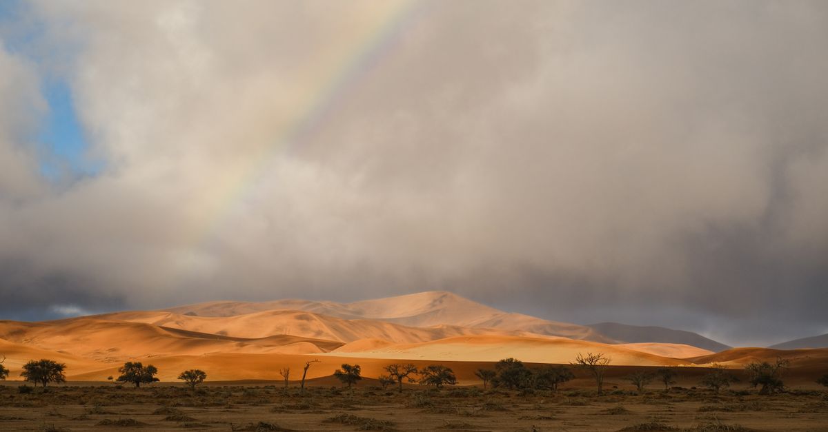 A breathtaking view of the Namib Desert with a rainbow arching over sand dunes and sparse vegetation.