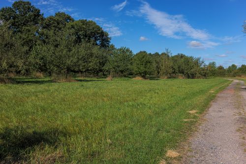 Free Lush green field and dirt path under a clear blue sky in Coesfeld, NRW. Stock Photo